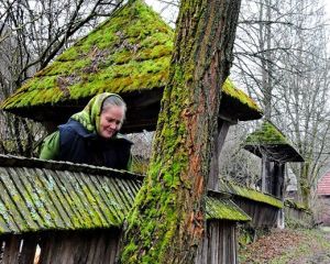 Fermele bio fac agricultura de maine. Nu si la noi, insa!