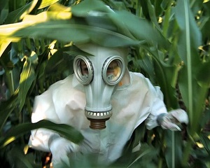 Birocratii europeni au dat unda verde culturilor cu Organisme Modificate Genetic