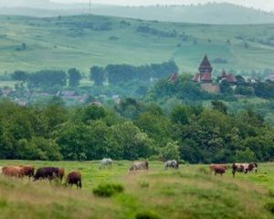 Cel mai mare eveniment dedicat sasilor din Romania, Saptamana Haferland, 6 - 10 august 2015