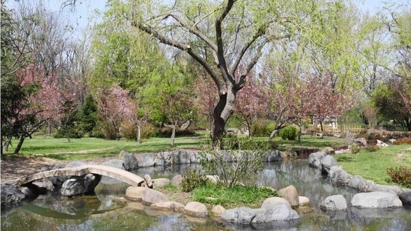 S-a redeschis Gradina Japoneza din Herestrau, noul Parc "Regele Mihai I"