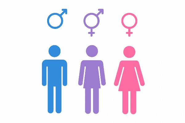 Cum a luat nastere ideea Legii identitatii de gen? Initiatorul proiectului s-a inspirat din SUA: Baietii puteau folosi toaleta fetelor, daca afirmau ca se simt fete