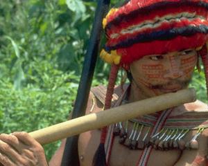 Trofee magice: Incursiune in trecutul indienilor amazonieni