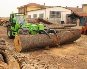 Doleantele reprezentantilor Industriei lemnului, mobilei si hartiei, facute publice la consultarile de la Ministerul Economiei