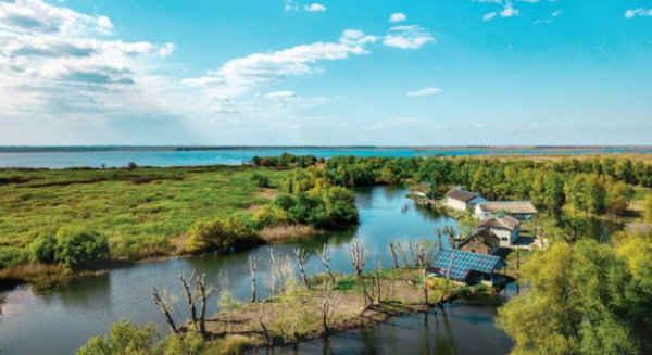 Insula Matita, din Delta Dunarii, scoasa la licitatie cu un pret de pornire de 350.000 de euro