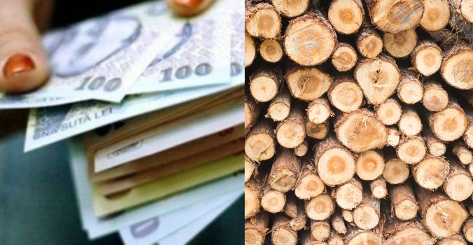 Se interzice incalzirea cu lemne, in Romania? Informatii noi