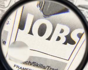 11.641 locuri de munca vacante in data de 27 noiembrie 2013