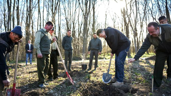 Klaus Iohannis intervine in scandalul taierilor ilegale de paduri: PSD nu a dorit. A aparat cealalta parte