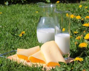 APIA: Cererile pentru ajutorul financiar in sectorul laptelui se depun pana la 6 iunie