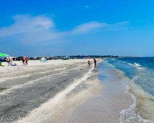 Calutul de mare, marea dilema economica a Litoralului