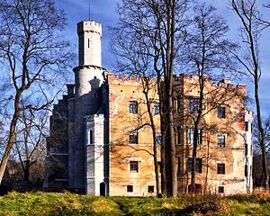 Polonia cauta investitori pentru a cumpara si repara sute de conace mari aflate in ruine