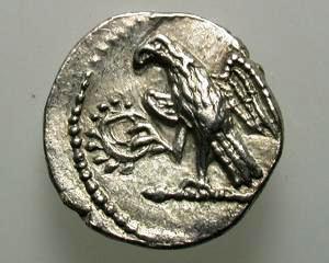 Monede dacice furate au fost descoperite ascunse la poalele Muntilor Orastiei