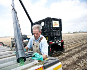 Monsanto: Cifra de afaceri a companiei se afla pe un trend ascendent
