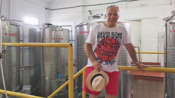 Profit de trei ori mai mare pentru producatorul de vin detinut de familia Isarescu