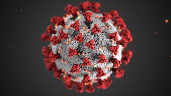 O noua varianta a coronavirusului, descoperita in India, prezinta doua mutatii in genom si ar putea fi mult mai periculoasa