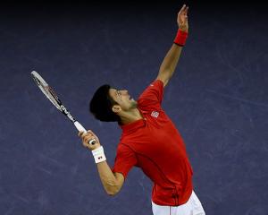 Serbia: Tenismenul Novak Djokovic a ajuns "avion"