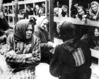ONU: Ungaria si-a cerut scuze pentru Holocaust