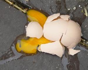 Protest: Taranii francezi vor sa sparga 100.000 de oua pe noapte