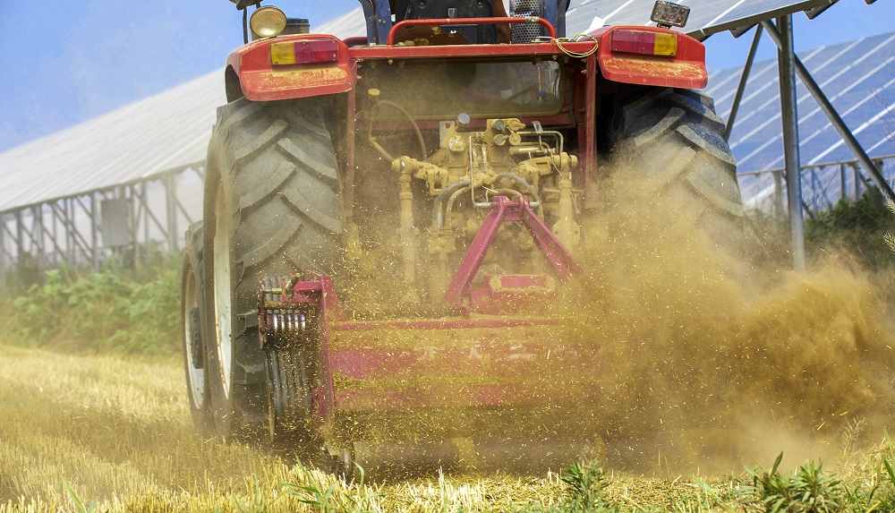 Sfaturile utile de care sa tii cont cand vrei sa pornesti o afacere in agricultura