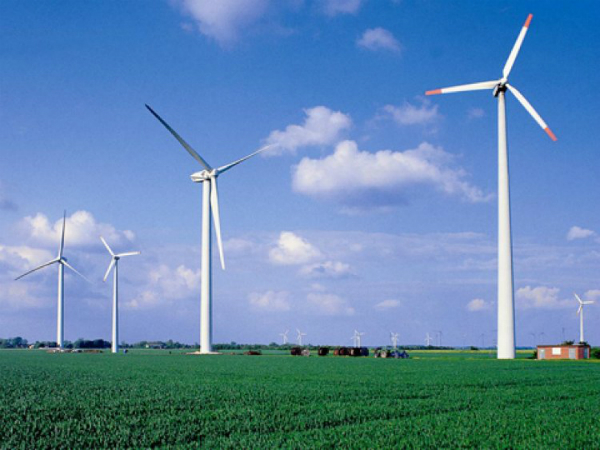 O firma olandeza va construi in Romania cel mai mare parc eolian din Europa, cu peste 1.4 miliarde de euro