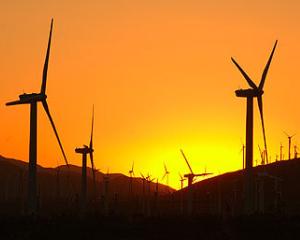 Investitiile in energie verde au crescut cu 500% la nivel global in ultimii 8 ani. Romania nu e interesata