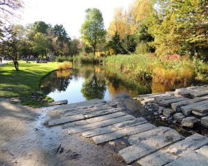 Vesti bune - Se infiinteaza Parcul Natural Vacaresti in capitala