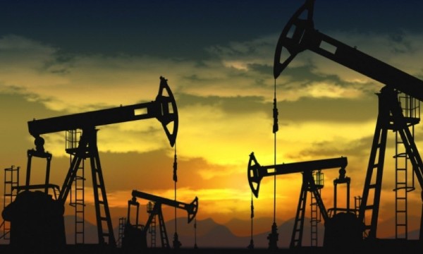 OPEC: Cererea globala de petrol va creste spectaculos in 2021