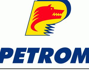 OMV Petrom, 2,5 milioane euro pentru pregatirea lotului de gimnastica