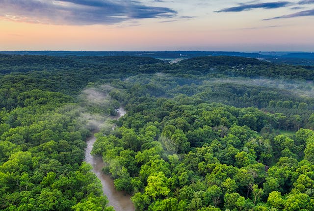 Plamanul Terrei a devenit sursa de poluare. Padurea amazoniana emite mai mult CO2 decat absoarbe