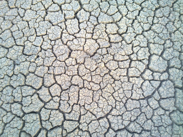 Carnavalul sfarsitului lumii este in plina desfasurare