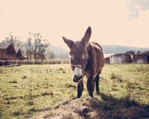 Trei experti FMI dezvaluie consecintele negative ale programelor de austeritate cerute chiar de Fondul Monetar