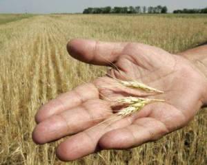 Analizele Manager.ro: 2013 va fi un an agricol foarte bun