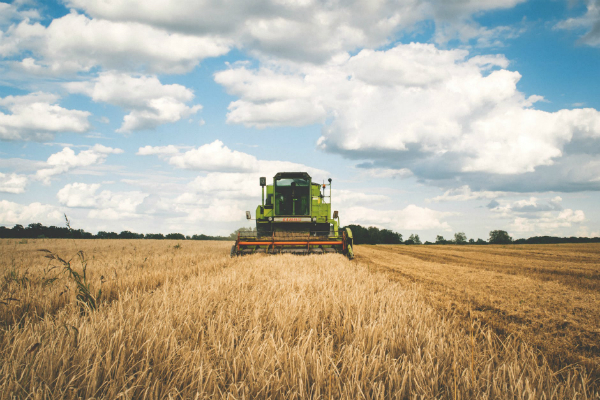 Producatorii agricoli il critica si contrazic pe Daea: Declaratiile ministrului au prabusit pretul cerealelor. Nu am avut productie istorica