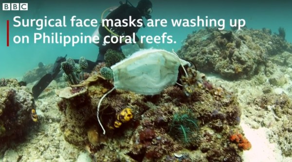 Deseurile medicale sufoca recifele de corali. Sute de tone de materiale de protectie polueaza apele