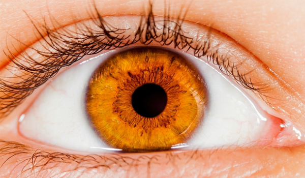 Google vrea sa foloseasca inteligenta artificiala pentru a examina retina utilizatorilor
