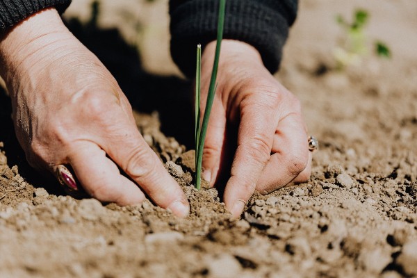 Sa speram ca agricultorii au pus bani deoparte. Recoltele pe anul acesta, din nou la mila Domnului