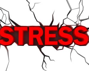 "Reactia la stres", principala cauza a bolilor