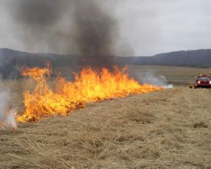 APIA: Este interzisa arderea miristilor si a resturilor vegetale pe terenul arabil