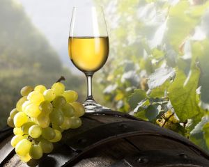 Productia de vin a Romaniei a scazut cu 20%