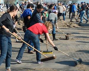 Proiect de lege: Voluntariatul, recunoscut ca experienta profesionala