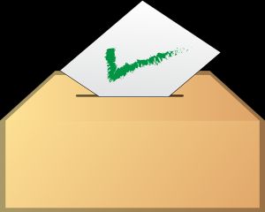 Cum pot vota rezidentii din strainatate la alegerile parlamentare din acest an