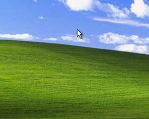 Windows XP ramane un "rasfatat" al piratilor de pe internet