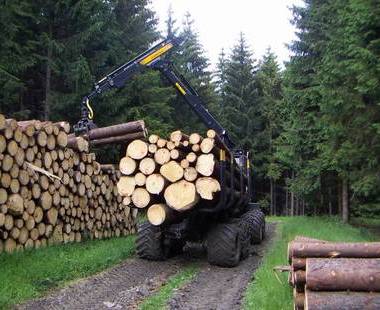 Romania a ramas fara inca 16,972 milioane de metri cubi de lemn