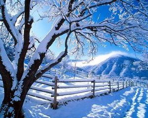 Stire "soc": vine iarna in Romania!