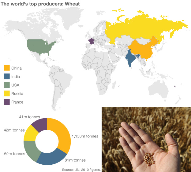 Align sector Preconception TOP 5: Cei mai mari producatori mondiali de grau, trestie de zahar, porumb,  orez, soia si cartofi