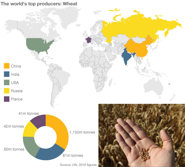 Align sector Preconception TOP 5: Cei mai mari producatori mondiali de grau, trestie de zahar, porumb, orez, soia si cartofi Align sector Preconception TOP 5: Cei mai mari producatori mondiali de grau, trestie de zahar, porumb, orez, soia si cartofi