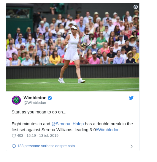 finala wimbledon 2019 williams halep