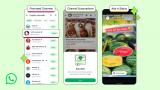 WhatsApp va fi plin de reclame! Meta anunta modificarea care va schimba totul