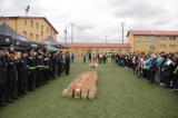 ILFOV | Demonstratie de curaj in randul ,