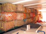 Containere cu droguri si peste congelat