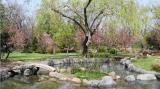 S-a redeschis Gradina Japoneza din Herestrau, noul Parc